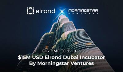 Morningstar Ventures Commits USD 15 Million To Invest In Projects Building On Elrond Network