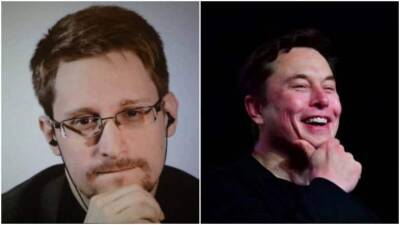 Elon Musk is ROFL as whistleblower Snowden calls Shiba Inu "clone of dog money"