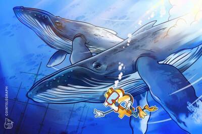 Bitcoin bargain: 3rd biggest whale address adds 207 BTC at $62K