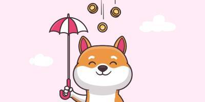 AMC will accept shiba inu for online payments by next quarter, according to the chief executive