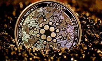 Cardano leads weekly inflows, but what’s next for investors