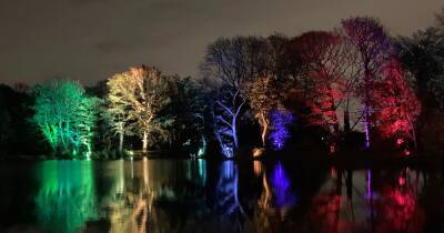 What to expect at RHS Bridgewater's illuminated Glow trail in Salford