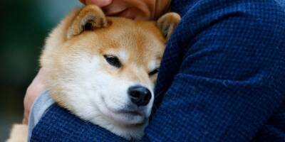 Kraken is listing shiba inu coin a month after the crypto exchange teased the move on Twitter