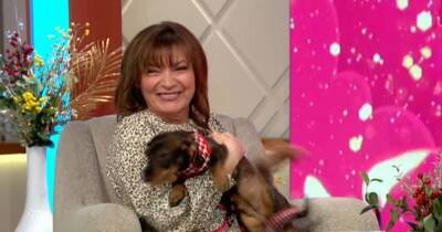 ITV's Lorraine Kelly in wee blunder as she's surprised for her birthday