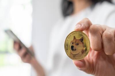 Dogecoin Price Soars Then Drops As New Update Goes Live
