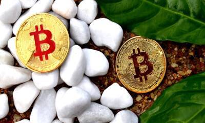 Report explores discrepancies in different Bitcoin mining companies’ performances