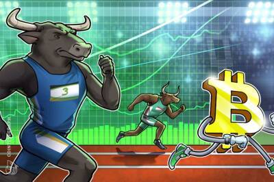 ‘Monster bull move’ means whales could secure the next Bitcoin price surge