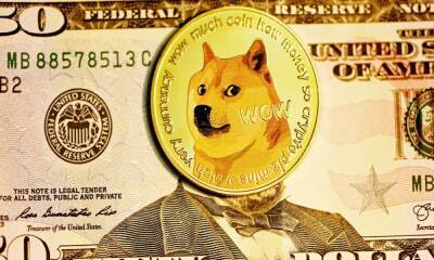 Tail wags for Elon Musk’s tweet, Tesla will accept DOGE for ‘some merch’