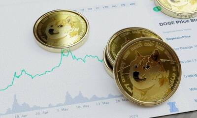 With ‘DOGE-killers’ mushrooming, Dogecoin must prove itself despite Musk’s tweet