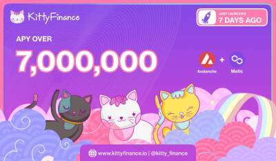 Tomb-inspired Finance Company Kitty Finance Projected to Reach Over USD 50,000,000 TVL Over the Next 30 Days