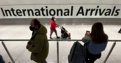 New travel restrictions 'too late to make a material difference', expert claims