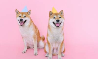Taking stock of where Dogecoin stands as it turns eight
