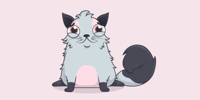 Venture capitalist Bill Tai knew NFTs would be big following Cryptokitties launch and offers this advice for new investors