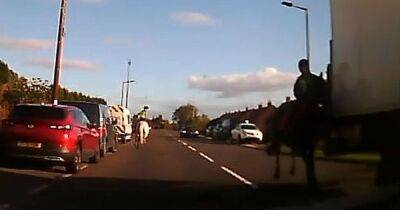 Footage shows teen horse rider 'millimetres from death' after colliding with side of lorry