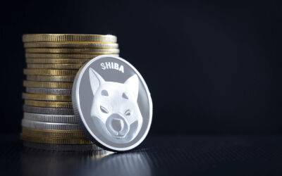 Is Shiba Inu a Good Investment in 2022?