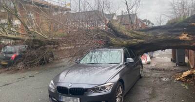 Trees fall on cars and block roads and train lines as Storm Eunice batters Greater Manchester