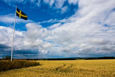 Sweden Takes Another Step Toward a Digital Currency