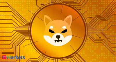 What sparked 32% rally in Shiba Inu