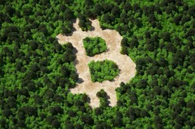 Cryptocurrency and Sustainability: Most Carbon-efficient Coins in 2022?