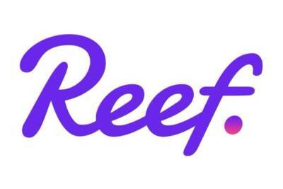 Reef Launches NFT Team Focused on Graffiti and Electronic Music Artists