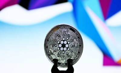 Cardano users ADA-pt to price falls with whales holding 46.6% of the supply