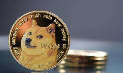 Mapping odds of DOGE whales sustaining rally beyond $0.14