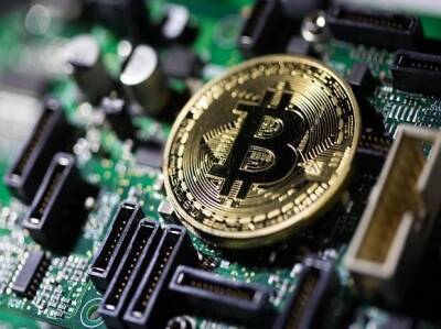 Nearly half of crypto owners first bought digital assets in 2021: Study