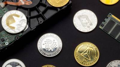 Nearly half of crypto owners first bought digital assets in 2021: Survey