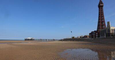 Dog owners could be fined £1,000 for walking their dogs on these beaches