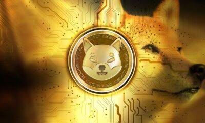 Shiba Inu: Why a near 35% crash might be on the cards for SHIB