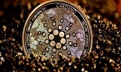 Cardano [ADA] holders should know this as they continue wrestling a ‘cold ice bath’