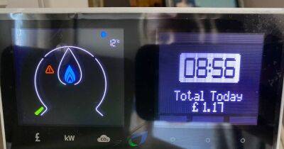 Smart meter warning issued over 'inaccurate' readings as Brits urged to check energy bills