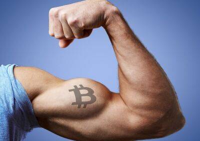 Bitcoin On-Chain Metrics Strongest Among Peers - Kraken