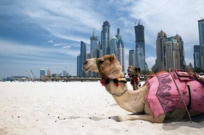 Crypto Firms Flock to Dubai for Regulatory Clarity as UAE Cleans Its ‘Grey’ Reputation