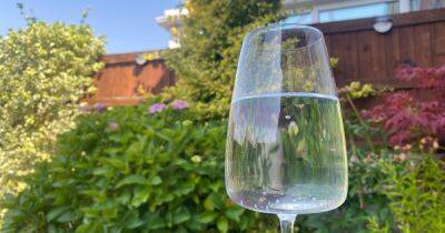 I tried the 1p hack from Asda that’ll stop flies landing in your drink this summer