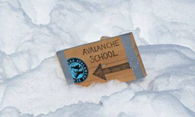 Up by 8%, can Avalanche [AVAX] really hold its price trajectory