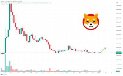 Shiba Inu Price Prediction - How Momentum Investors Can Propel This Meme Coin Back to $0.000014