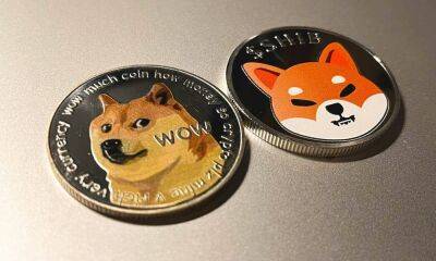 Dogecoin (DOGE) Price Prediction 2025-2030: Musk or not, there may be trouble for DOGE
