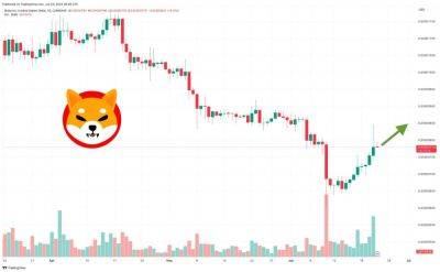 Shiba Inu Price Prediction as $250 Million Trading Volume Shoots SHIB Up 16% in a Week – Here's Where SHIB is Heading Now