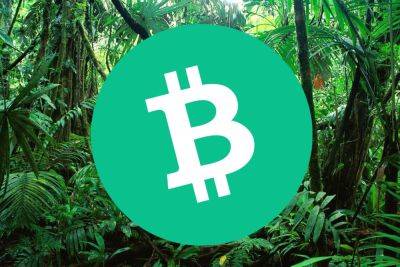 Is It Too Late to Buy Bitcoin Cash? BCH Price Spikes Up 4% as Green Crypto Chimpzee Surges Past $1 Million