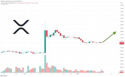 XRP Price Prediction as $800 Million Trading Volume Floods In – Are Whales Buying the Dip?