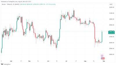 Bitcoin's Subtle Dance: Analyzing Weekly Trends and the ETF Wait Game