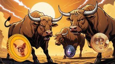 Bitcoin Bull Allocates Funds to Ethereum Alternative Priced Under $0.01